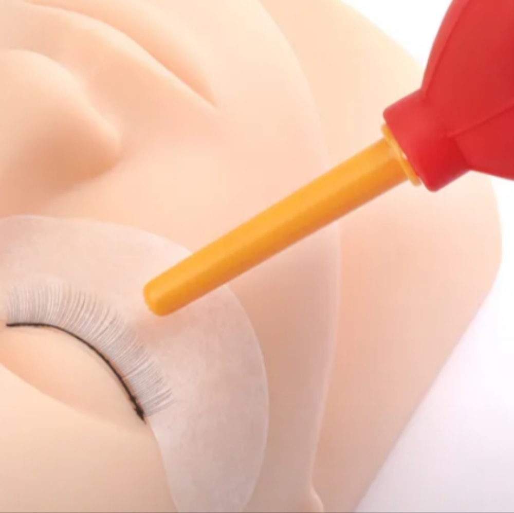 Lash Out Box - Picture 4 of 6